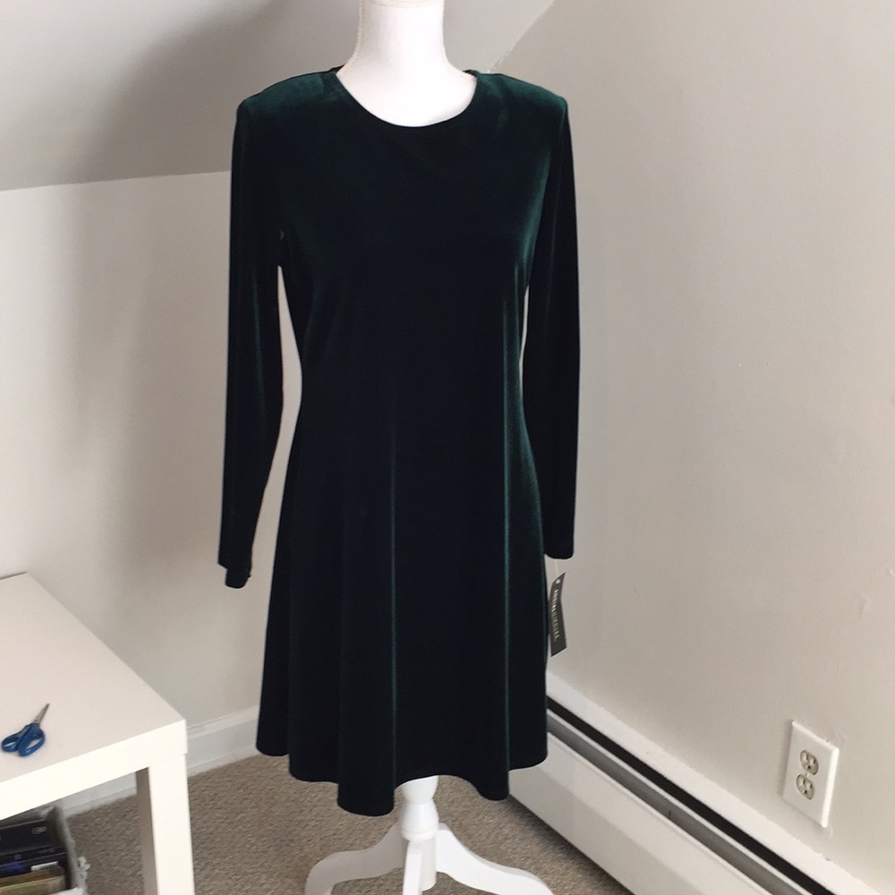 Social Circles Velvety Green Dress